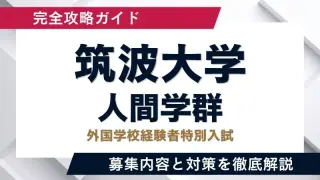 大学入試シリーズ 筑波大学 2015・2019・2023 筑波大】筑波大学「外国学校経験者特別入試（人間学群）」徹底解説